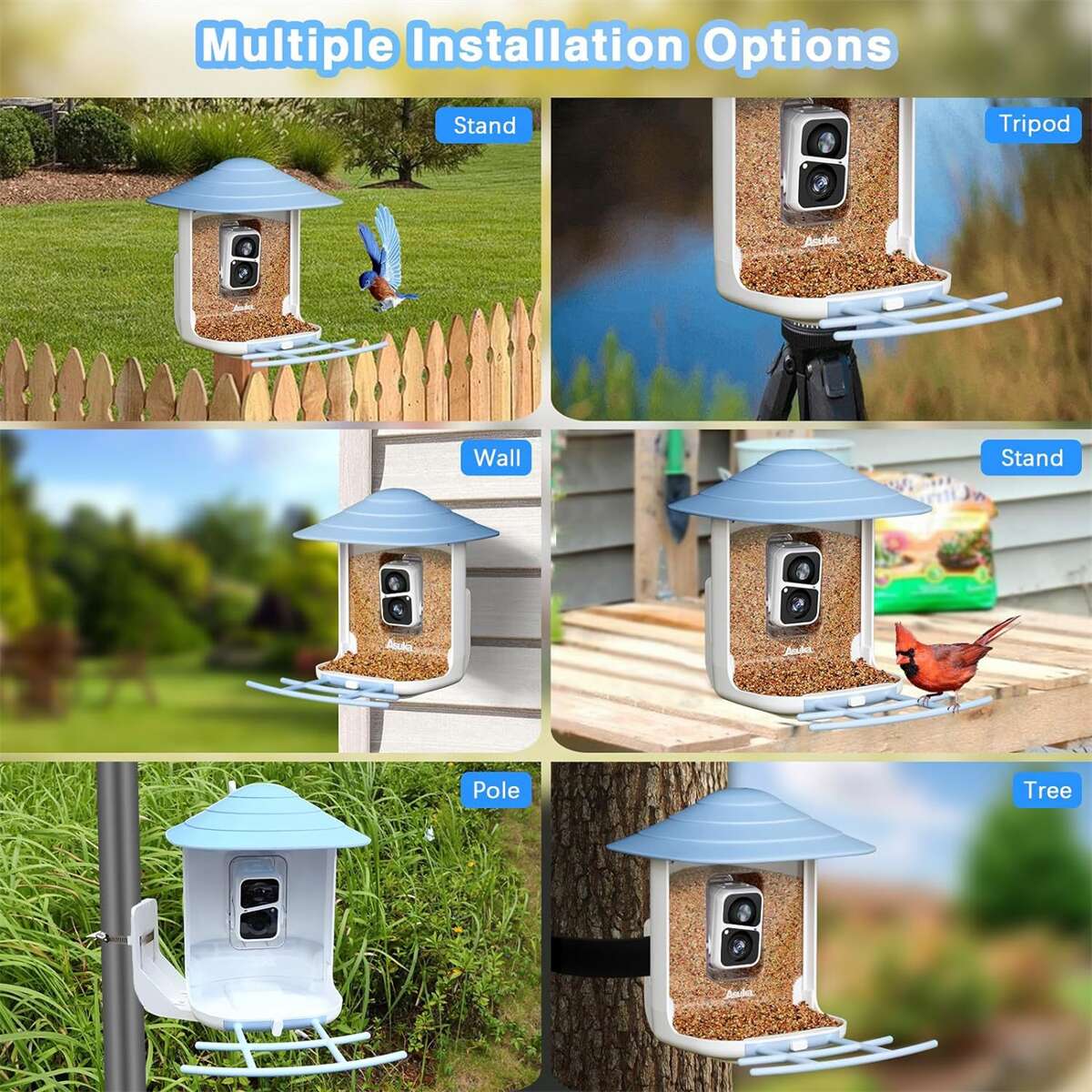 Shop Bird Buddy Smart Bird Feeder PT-18