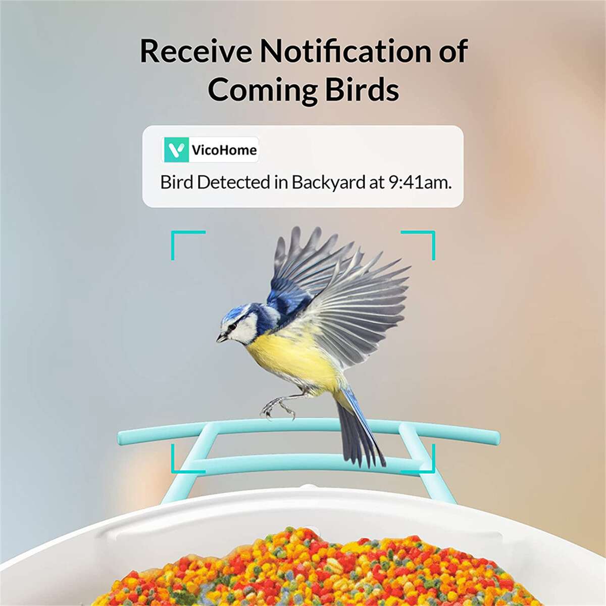 Shop Bird Buddy Smart Bird Feeder PT-18